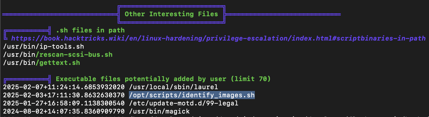 interesting-files